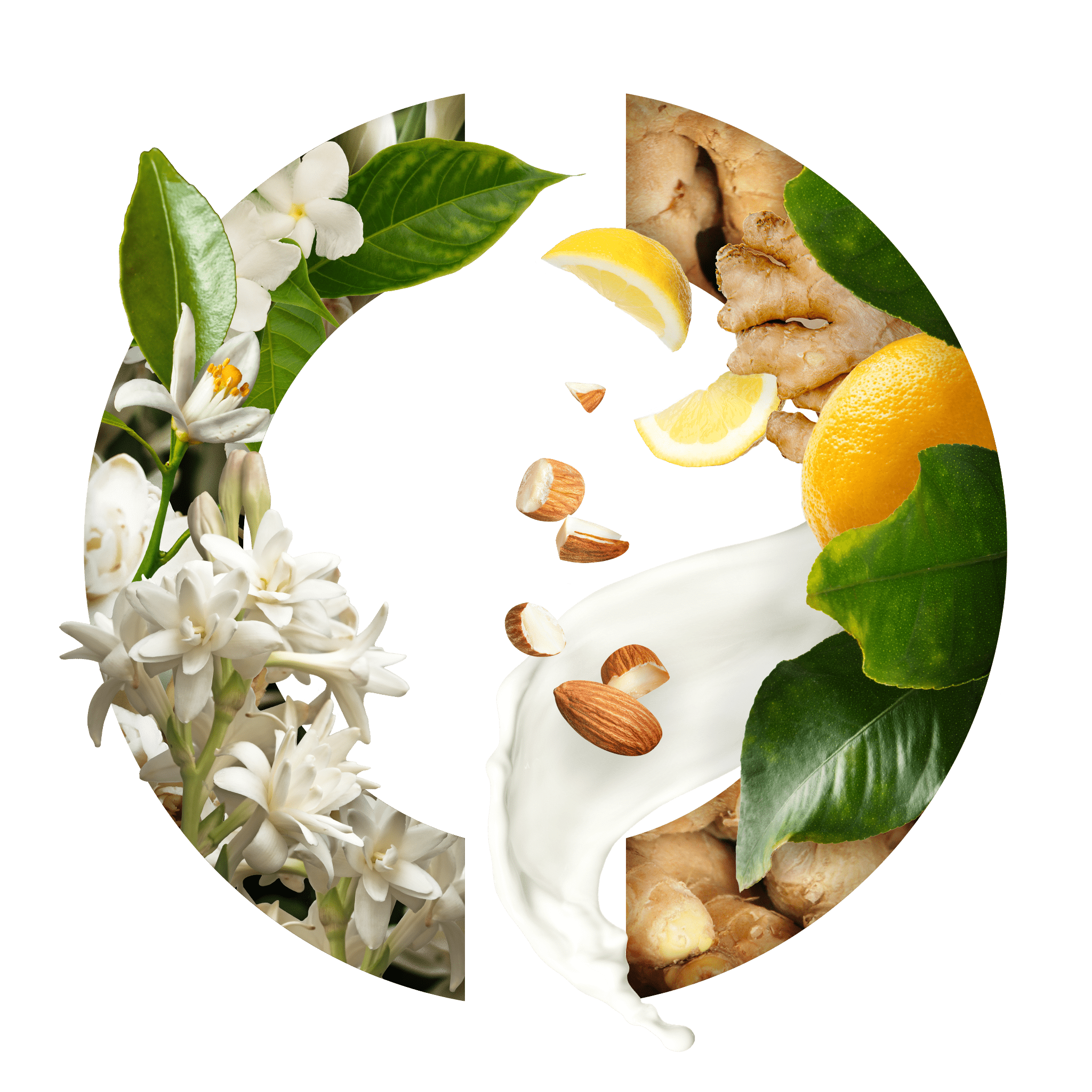 Tubéreuse Merveilleuse CARON - Parfumerie du Soleil d'Or