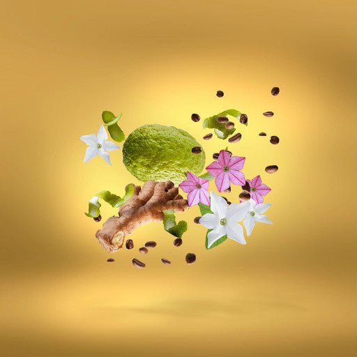 UDEN OVERDOSE XERJOFF - Parfumerie du Soleil d'Or