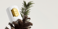 Charger l'image dans la visionneuse de la galerie, Une Forêt d'Or - Bougie parfumée GOUTAL - Parfumerie du Soleil d'Or