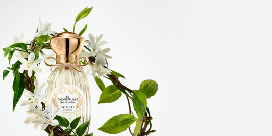 Honeysuckle - Eau de Toilette