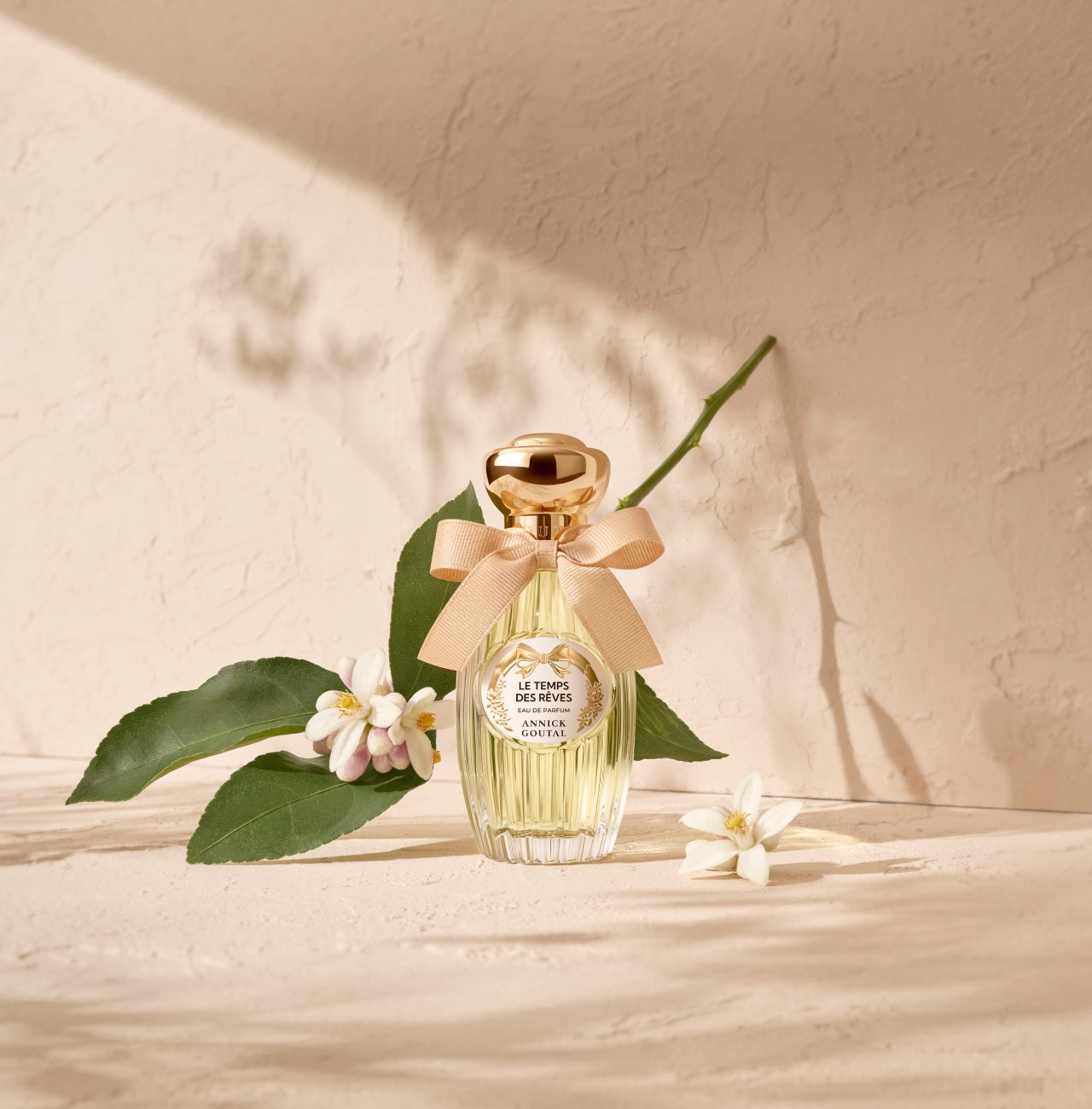 LE TEMPS DES RÊVES ANNICK GOUTAL - Soleil d'Or
