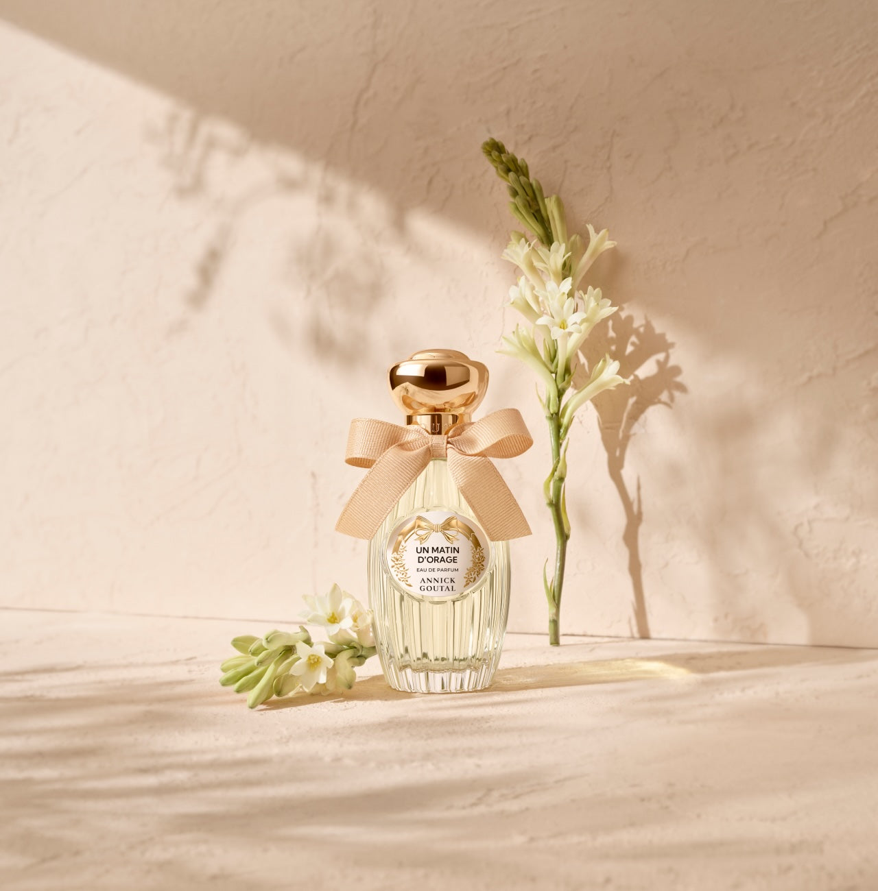 UN MATIN D'ORAGE ANNICK GOUTAL - Soleil d'Or