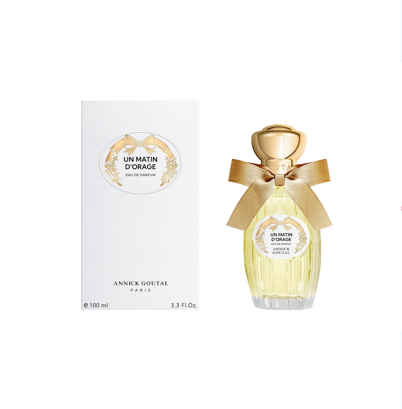 UN MATIN D'ORAGE ANNICK GOUTAL - Soleil d'Or