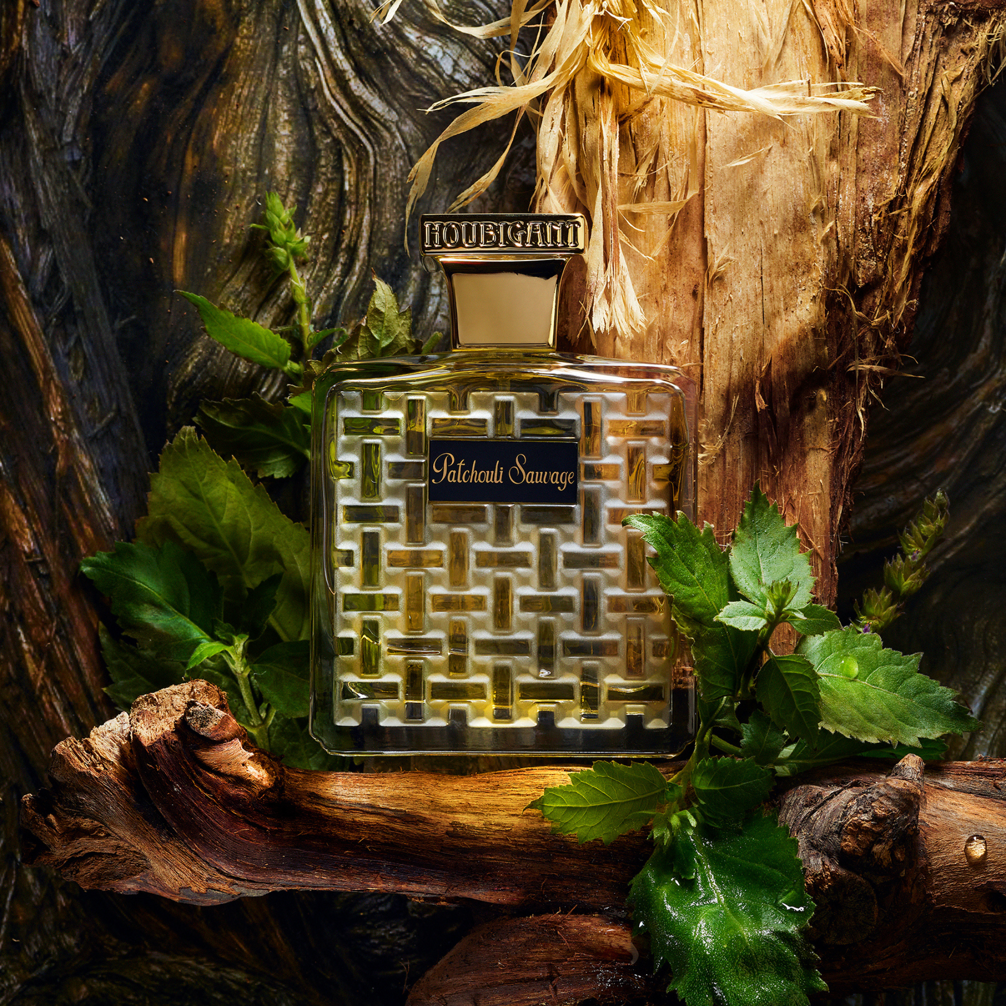 Patchouli Sauvage - Eau de Parfum