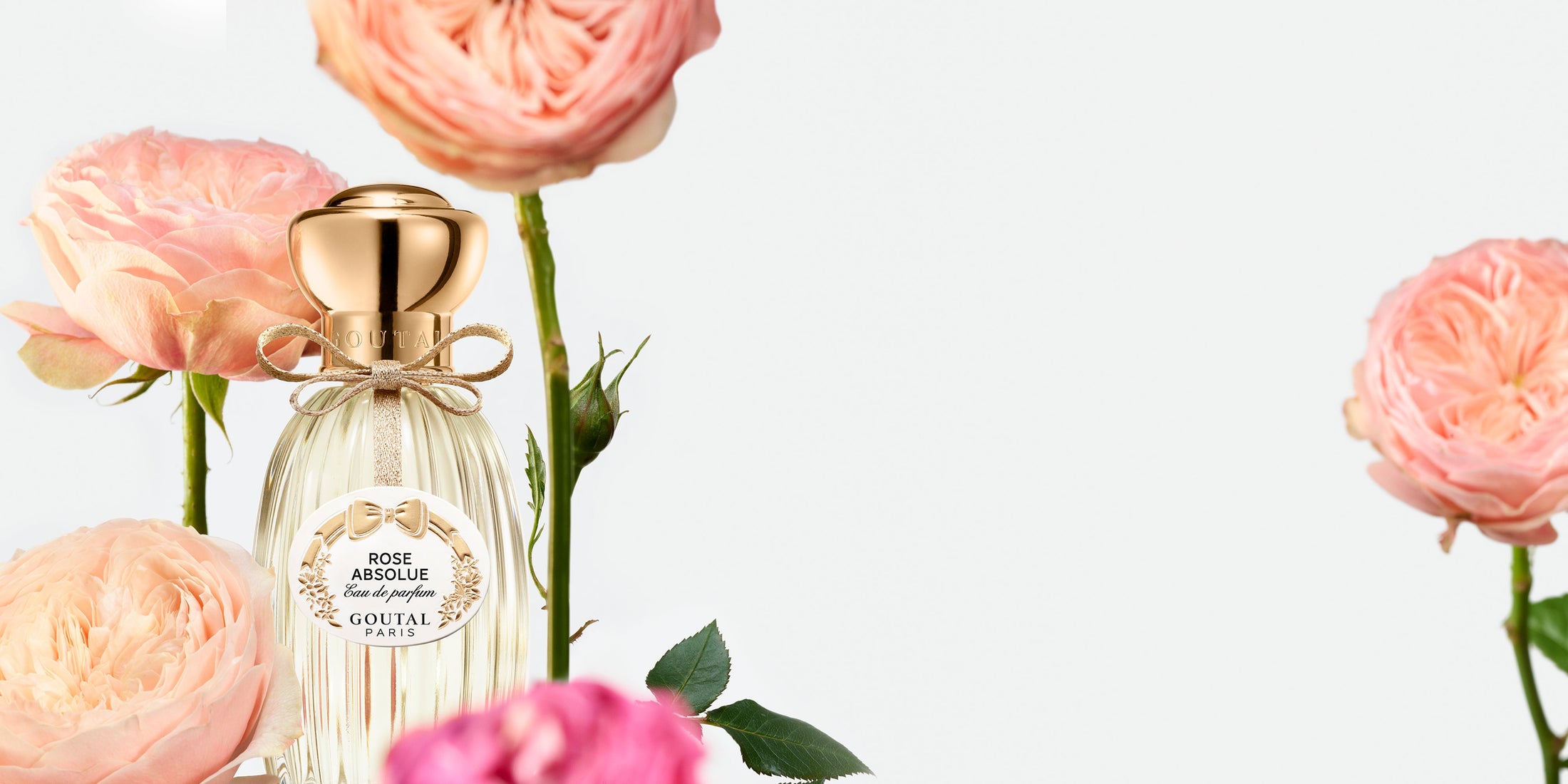 Rose Absolute - Eau de Parfum