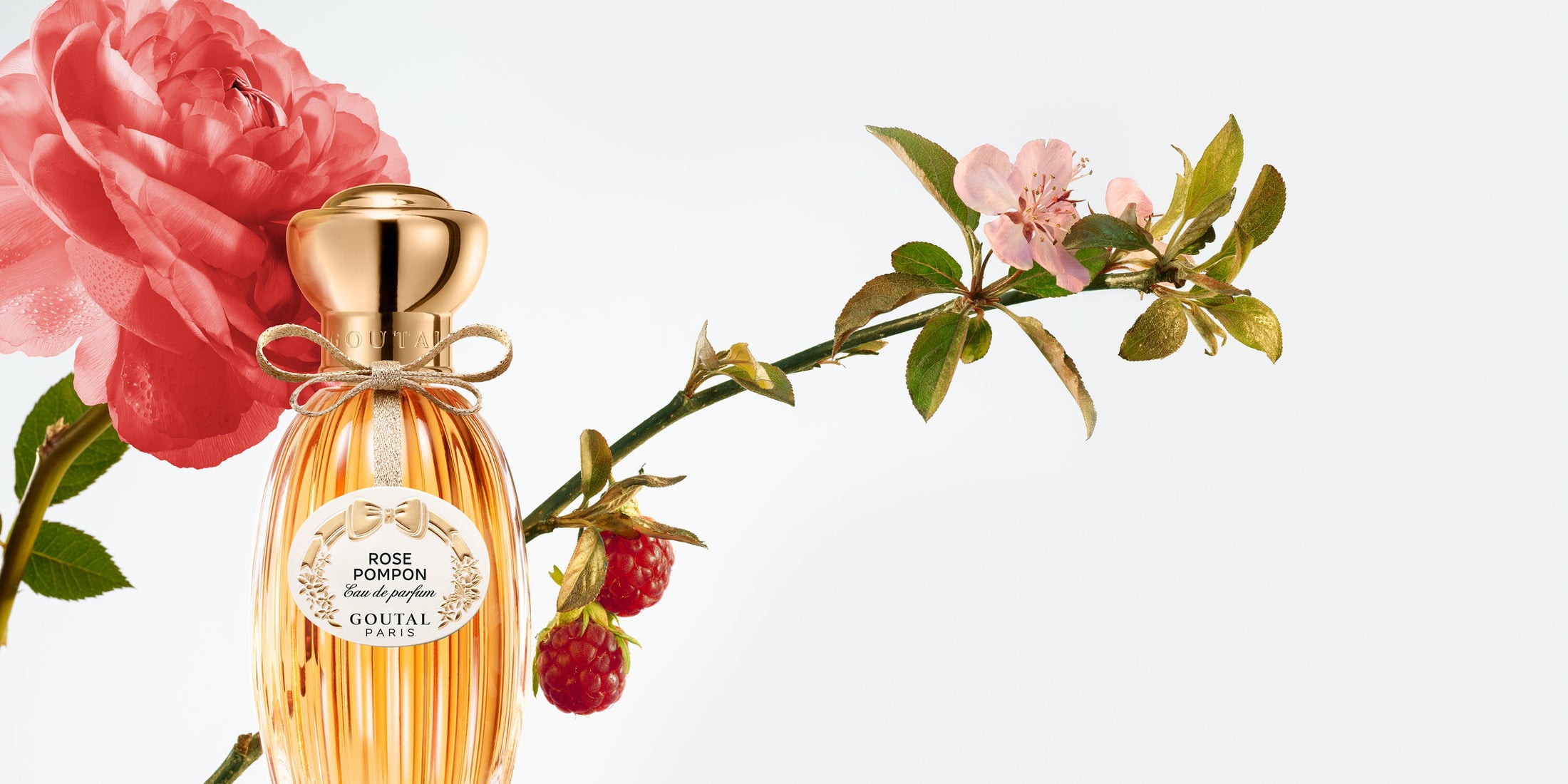 Rose Pompon - Eau de Toilette