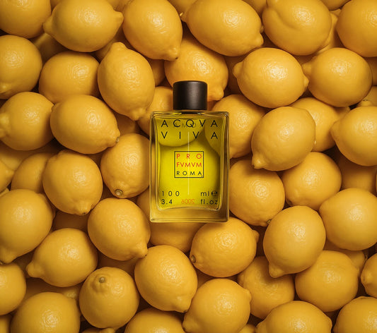 ACQUA VIVA PROFUMUM ROMA - Parfumerie du Soleil d'Or