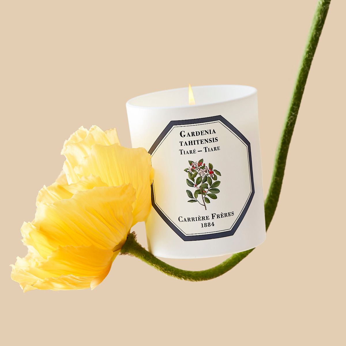 Bougie Tiaré CARRIÈRE FRÈRES - Parfumerie du Soleil d'Or