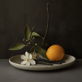 Load image into Gallery viewer, CONTRE TA PEAU CHAMBRE52 - Parfumerie du Soleil d'Or
