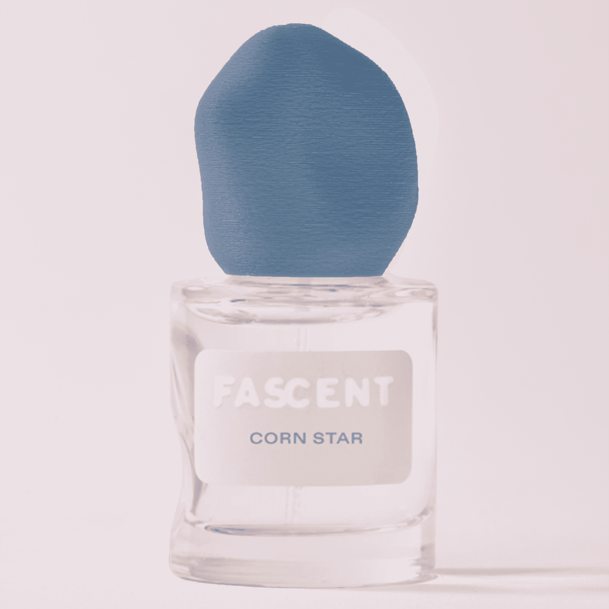 CORN STAR FASCENT - Soleil d'Or