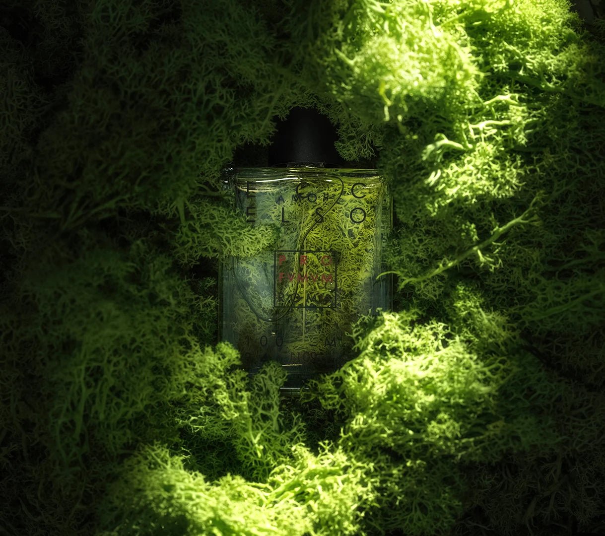 Eccelso PROFUMUM ROMA - Soleil d'Or