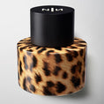 Load image into Gallery viewer, FELINA NEW NOTES - Parfumerie du Soleil d'Or
