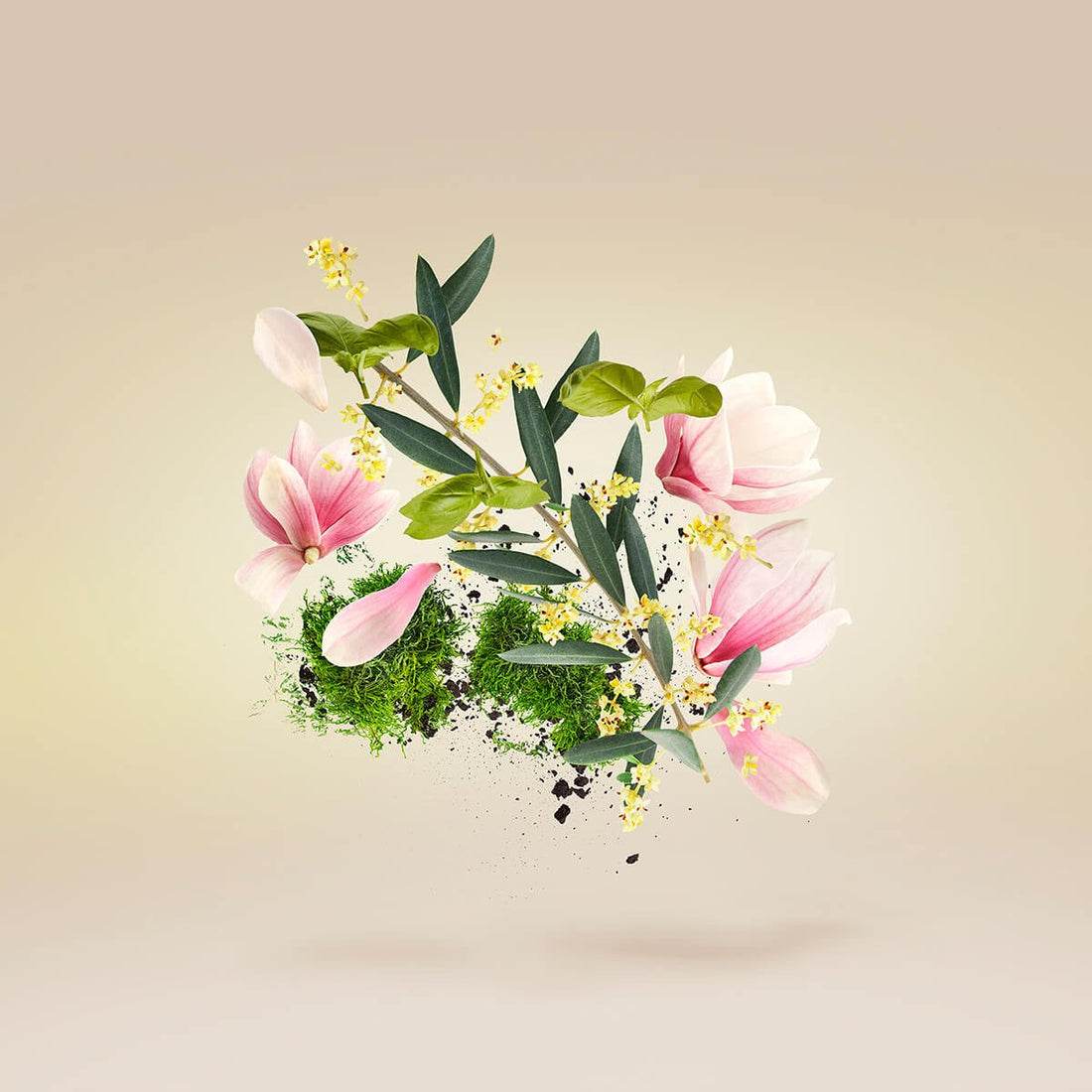 Fiore d'Ulivo by Casamorati, eau de parfum