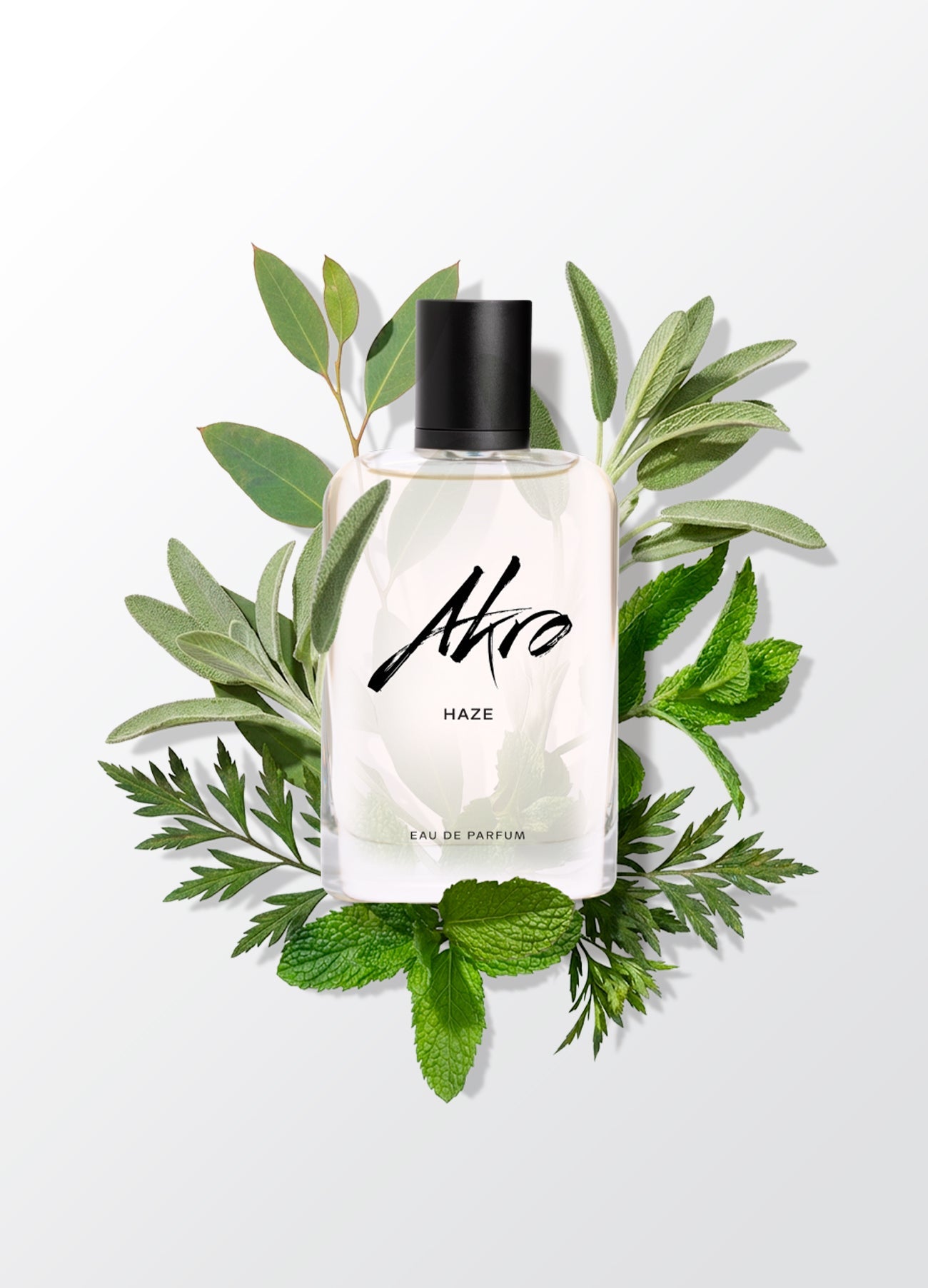 Haze AKRO - Soleil d'Or