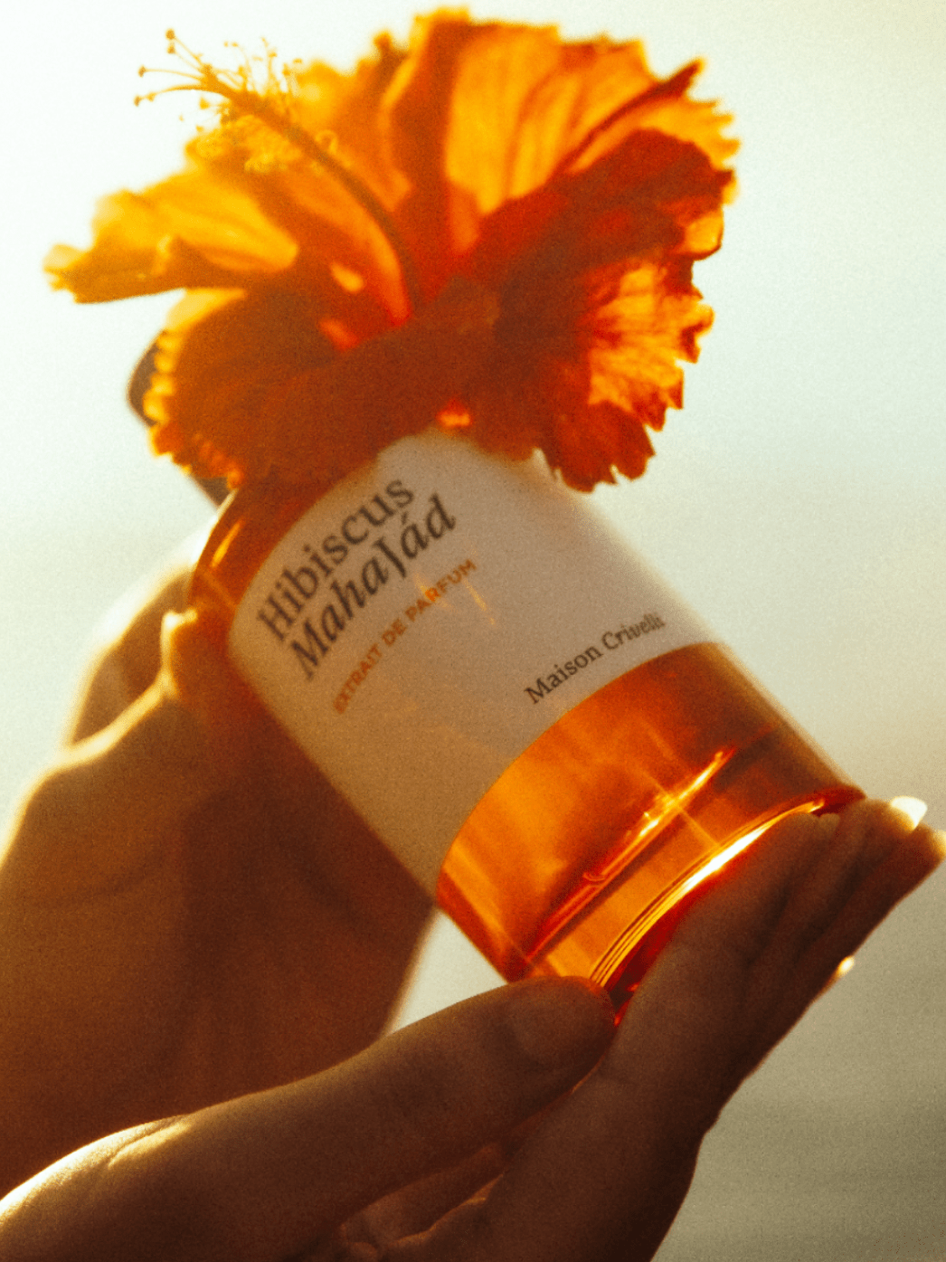 Maison Crivelli Hibiscus Mahajád Extrait de Parfum Floral Fruity