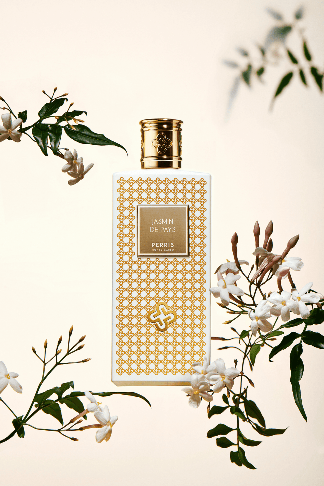 Jasmin de Pays de Perris Monte Carlo, eau de parfum