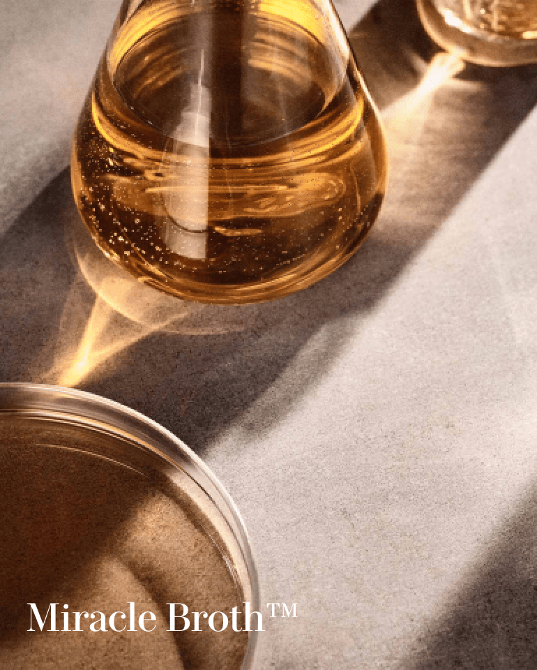 La Mer The Perfecting Primer Makeup Primer – Soleil d'Or