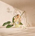 Charger l'image dans la visionneuse de la galerie, Le Temps des Rêves Annick Goutal - Soleil d'Or
