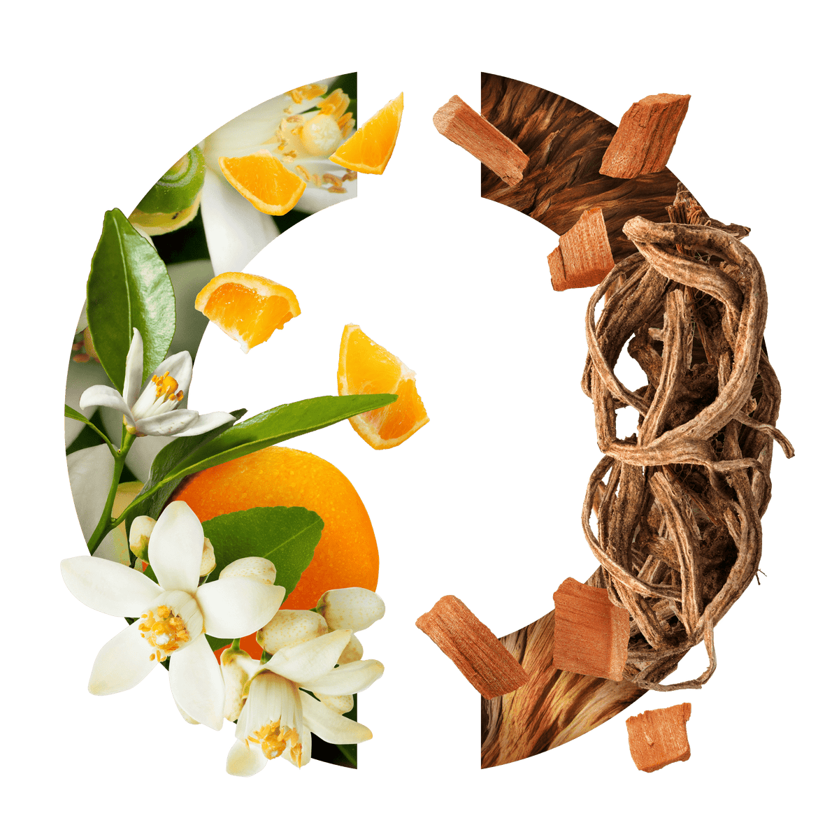 Narcisse Noir de Caron, extrait de parfum