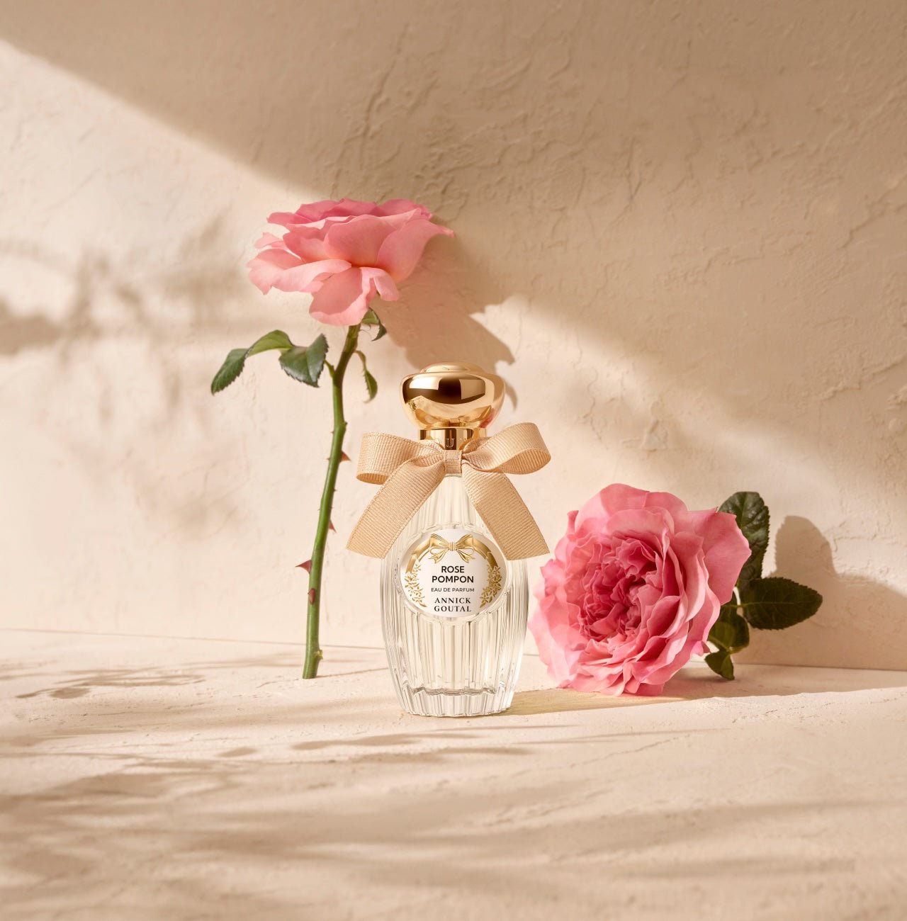 Rose Pompon Annick Goutal - Soleil d'Or