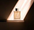 Load image into Gallery viewer, Tagete PROFUMUM ROMA - Soleil d'Or
