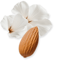 Load image into Gallery viewer, Valaya Exclusif by Parfums de Marly, almond and white flowers
