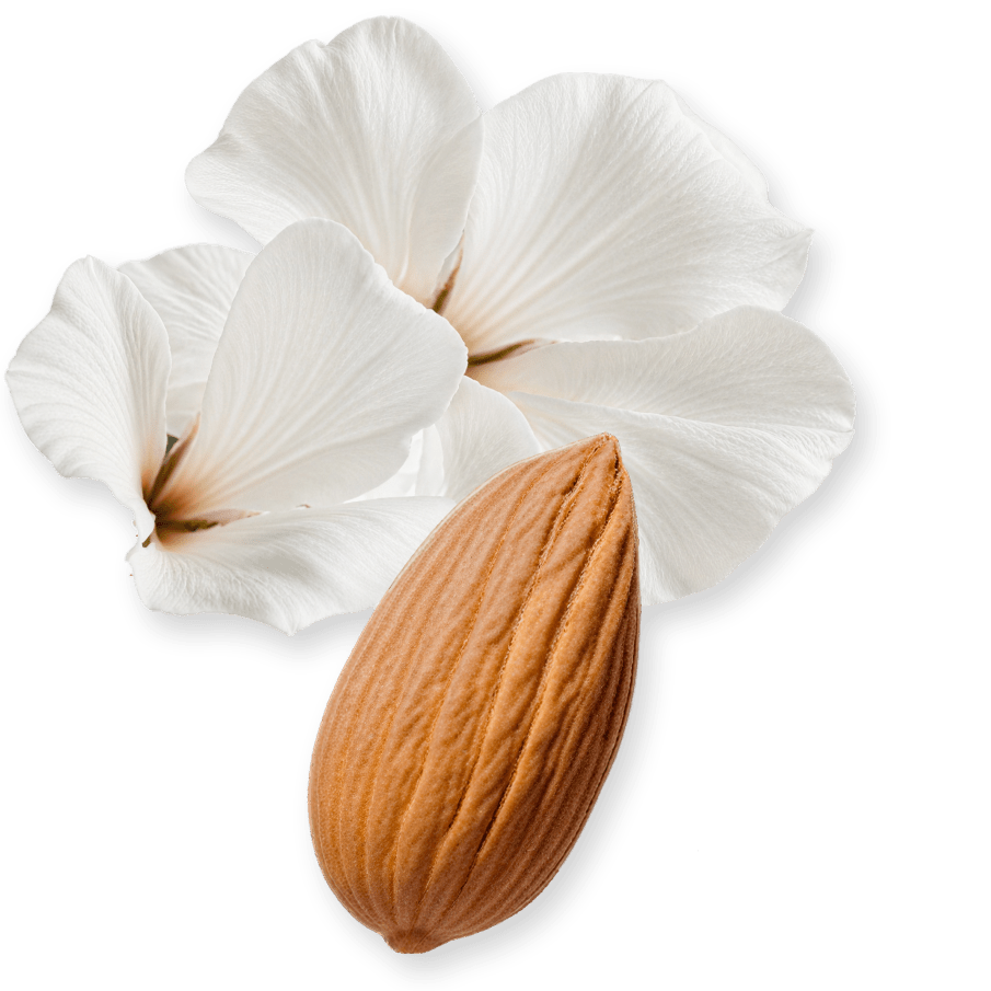 Valaya Exclusif by Parfums de Marly, almond and white flowers