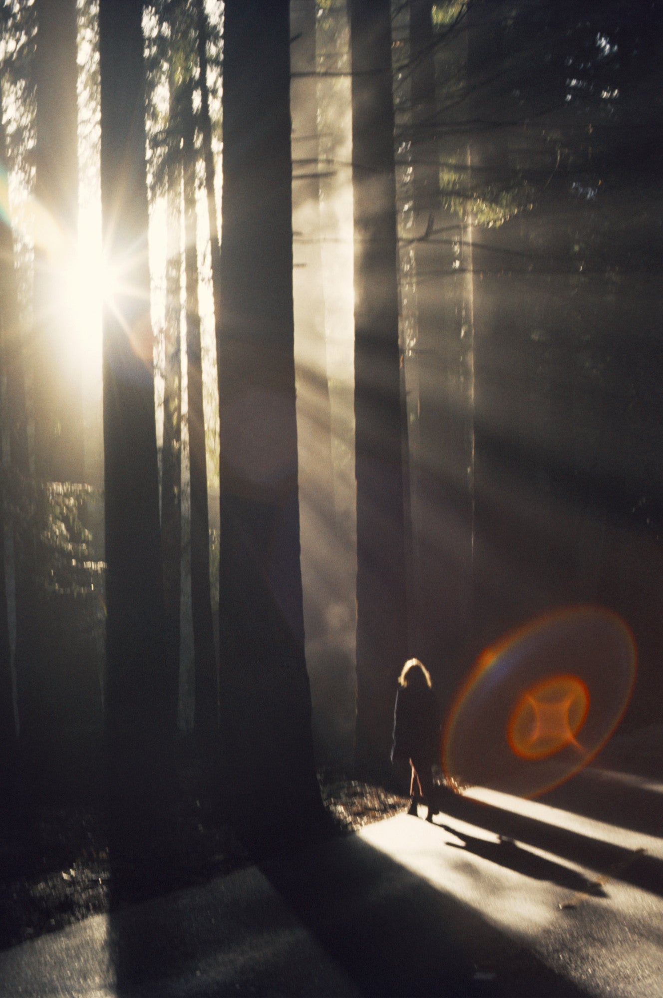 Woody Mood OLFACTIVE STUDIO - Parfumerie du Soleil d'Or